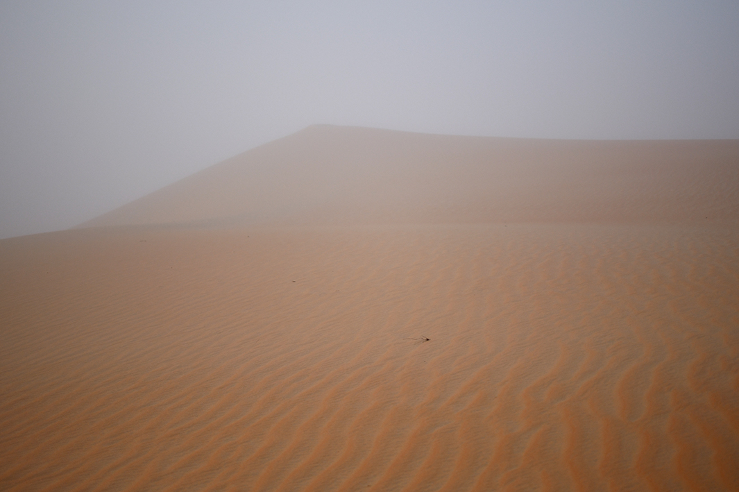 http://tiphainebuisson.com/files/gimgs/61_bdtiphainebuisson-desert-brume-copie.jpg